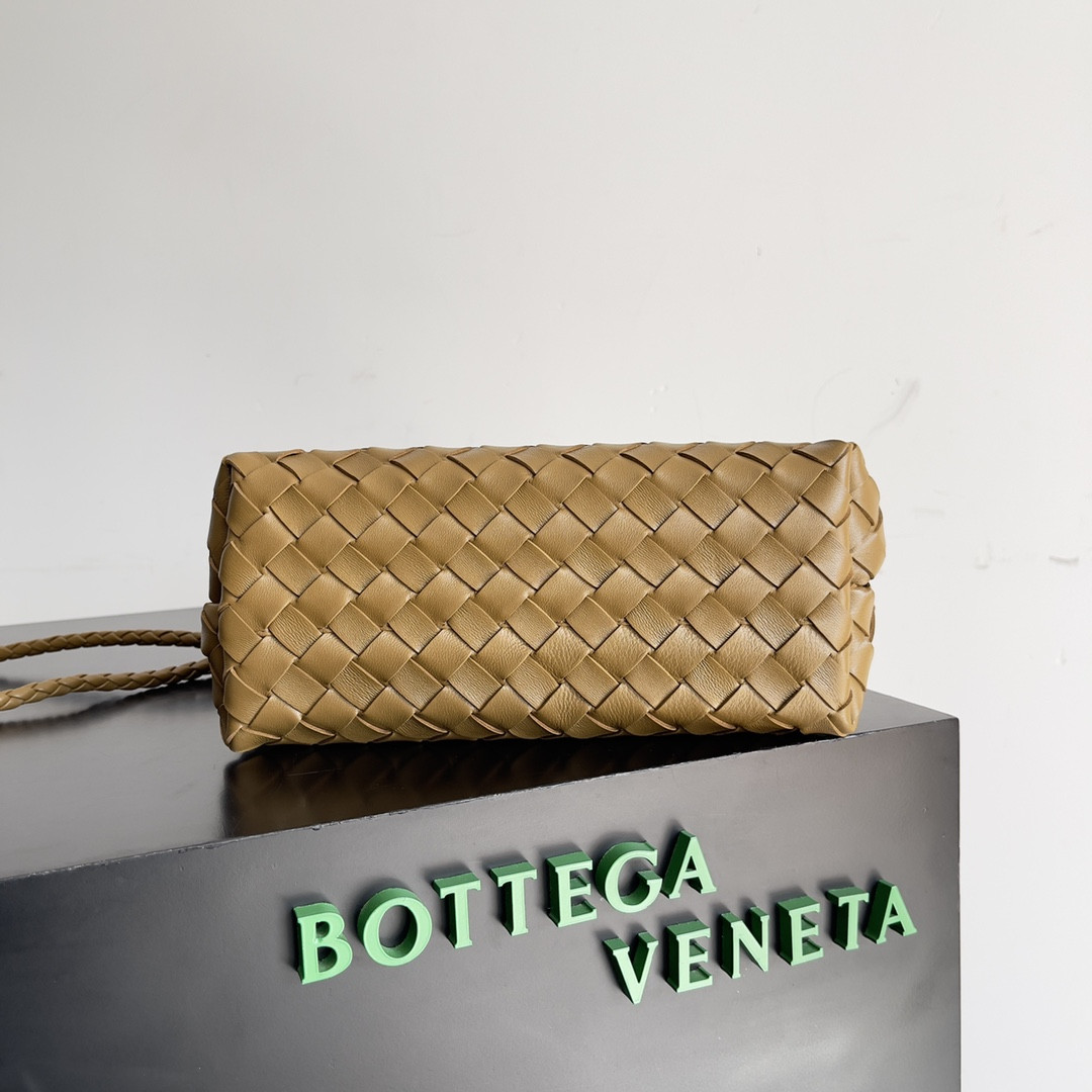 Bottega Veneta Small Andiamo 25x22x10.5cm
