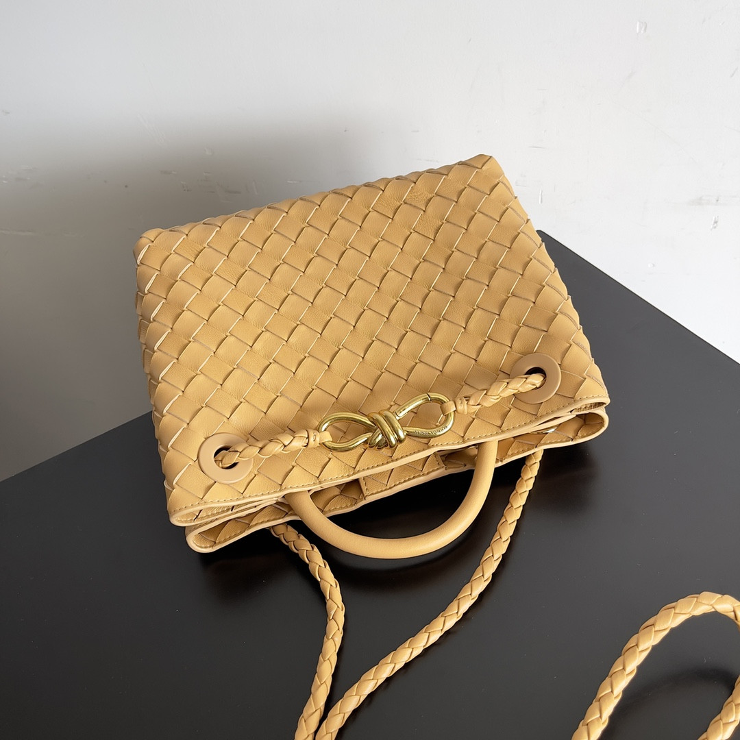 Bottega Veneta Small Andiamo 25x22x10.5cm