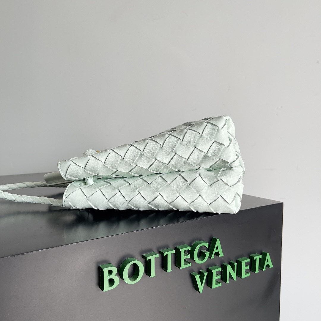 Bottega Veneta Small Andiamo 25x22x10.5cm