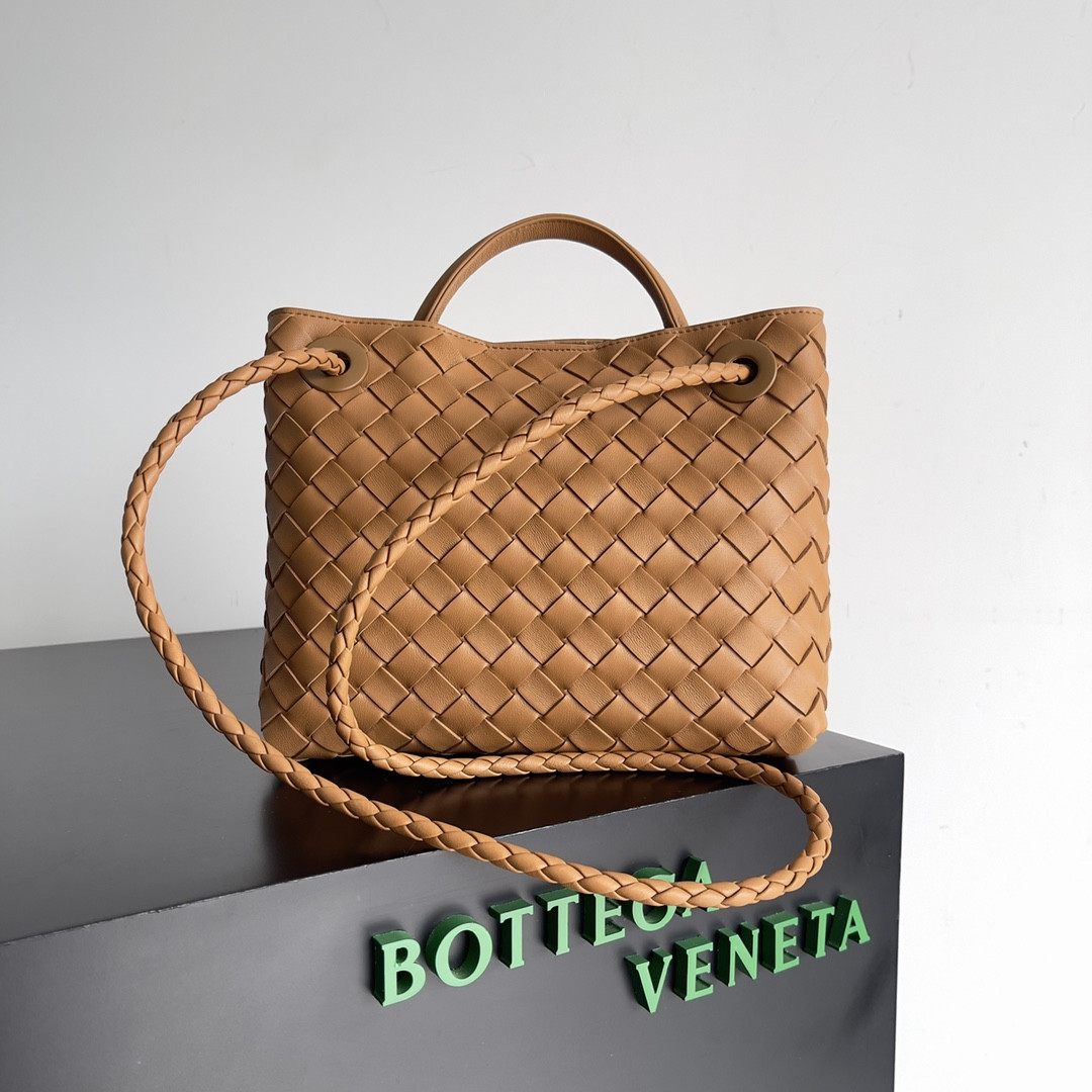 Bottega Veneta Small Andiamo 25x22x10.5cm
