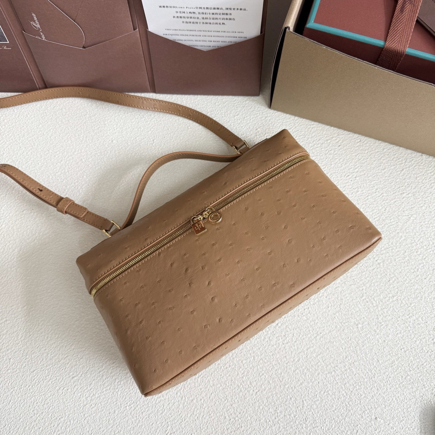 Loro Piana Extra Pocket L27 Ostrich-grained Leather 16x27x10cm